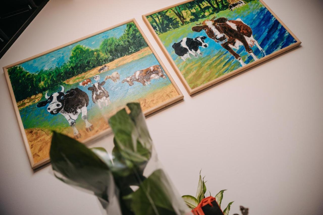 Apartament Mazagran Zamosc  Bagian luar foto